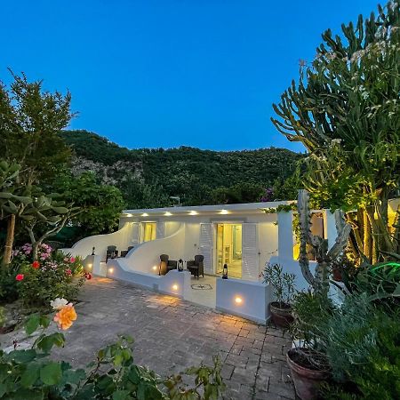Barracudasuite Ischia Dış mekan fotoğraf