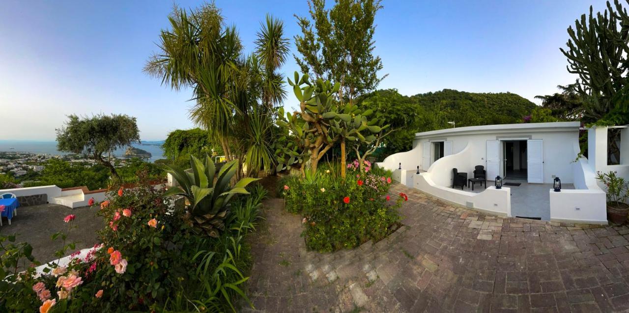 Barracudasuite Ischia Dış mekan fotoğraf