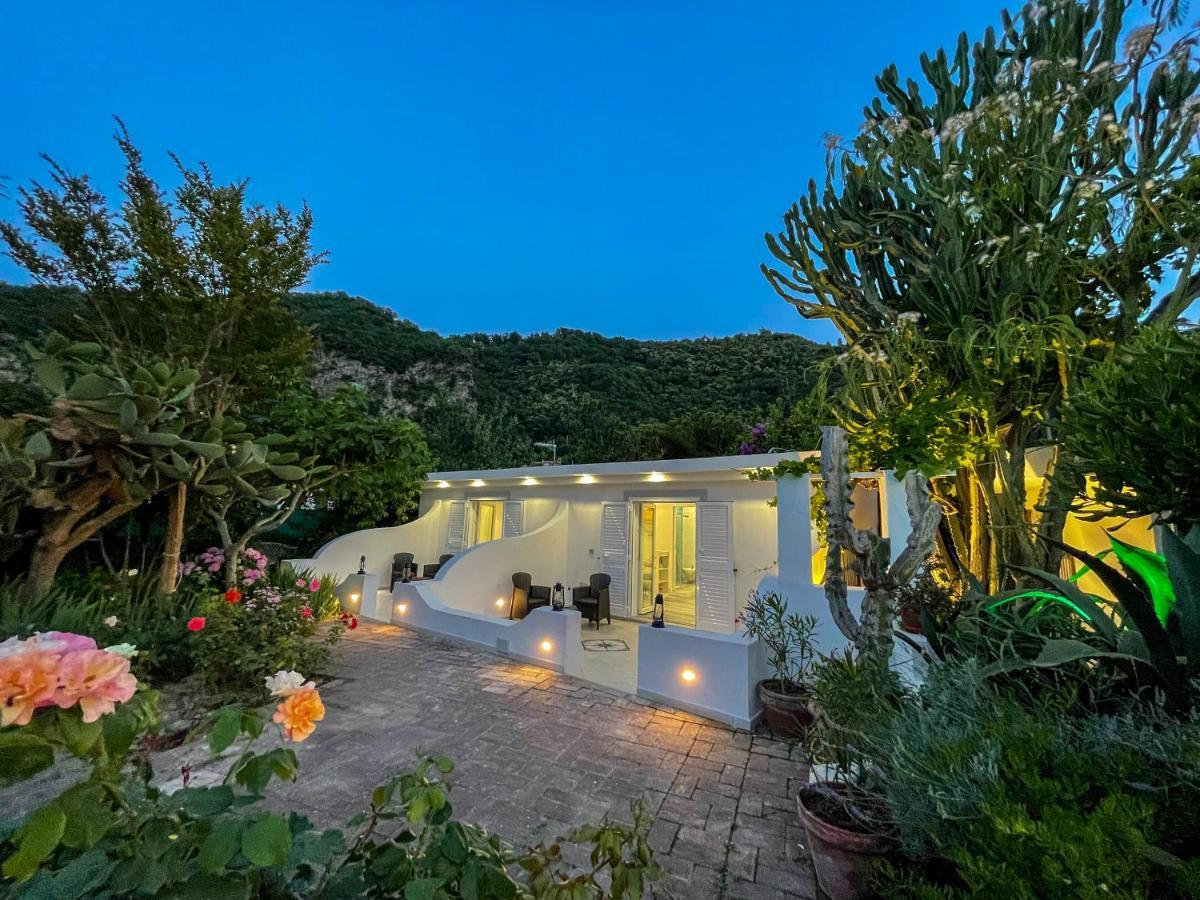Barracudasuite Ischia Dış mekan fotoğraf