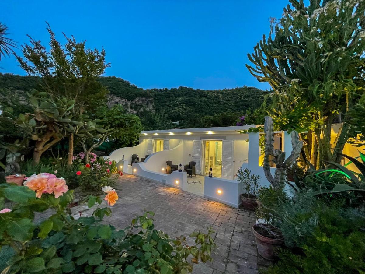Barracudasuite Ischia Dış mekan fotoğraf