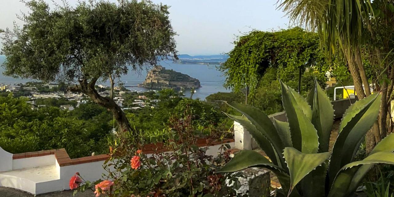 Barracudasuite Ischia Dış mekan fotoğraf
