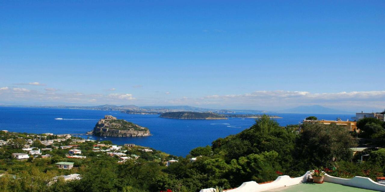 Barracudasuite Ischia Dış mekan fotoğraf