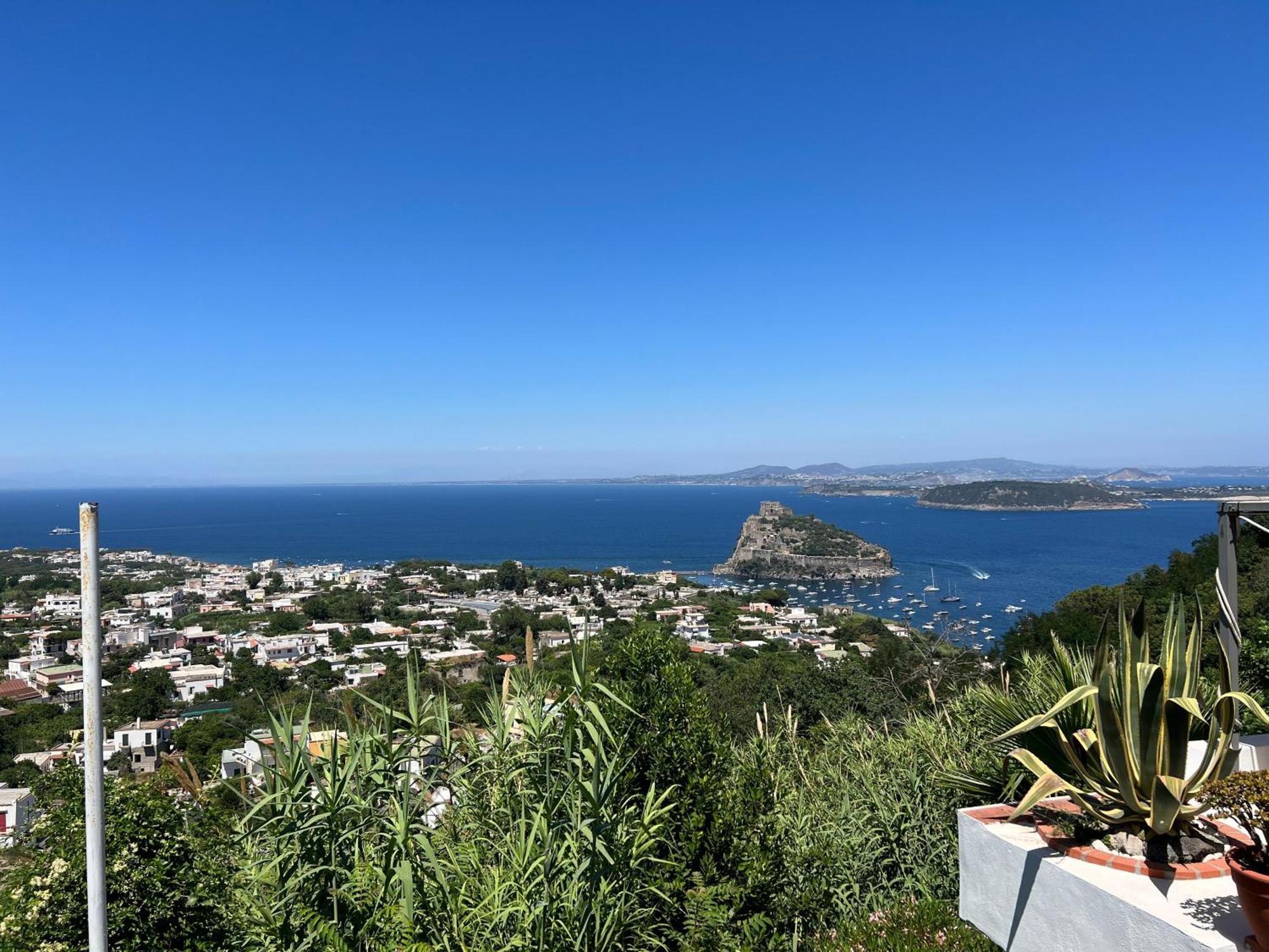 Barracudasuite Ischia Dış mekan fotoğraf